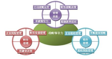 企业财务总监的核心工作职责与战略重要性