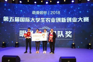 第五届国际大学生农业创新创业大赛圆满落幕 赛事策划与成果回顾